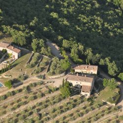 Tuscan Estate in Chianti for Sale image 13