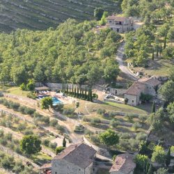 Tuscan Estate in Chianti for Sale image 14