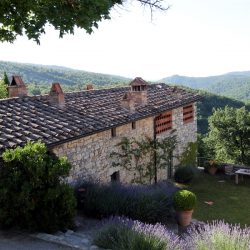 Tuscan Estate in Chianti for Sale image 5