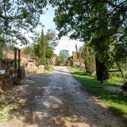 Property near Pienza for Sale image 13
