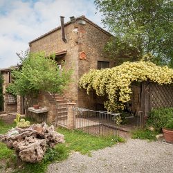 Property near Pienza for Sale image 20