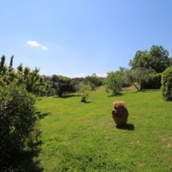 Tuscan farmhouse for sale V2865M (5)