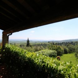 Tuscan farmhouse for sale V2865M (7)