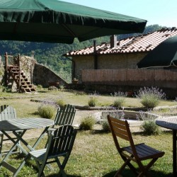 Restored Tuscan Villa for Sale image 24