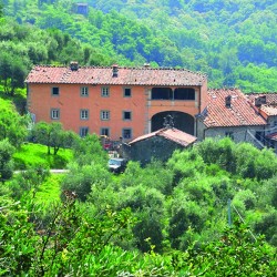 Restored Tuscan Villa for Sale image 16