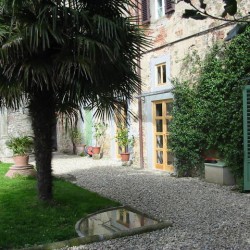 Palm-courtyard-1
