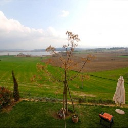 House with View of Lake Chiusi image 5