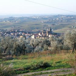 Village of Vinci