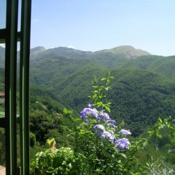 Copy of view of Orrido di Botri from veranda