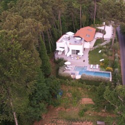 Camaiore Villa Image 3