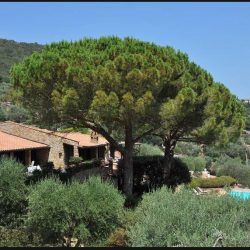 Monte Argentario Villa for sale near Porto Ercole Image 16