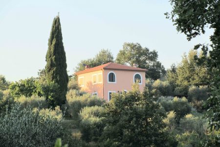 Maremma House with 100 Olive Trees