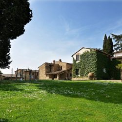 Estate near Florence with Wine and Oil Production Image 12
