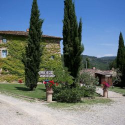 Arezzo Property Image 32