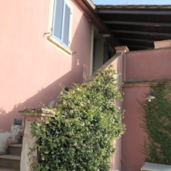 Tuscan Farmhouse for sale Palaia (9)
