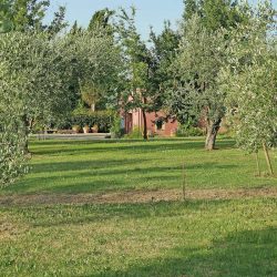 Casciana Terme Farmhouse Image 2