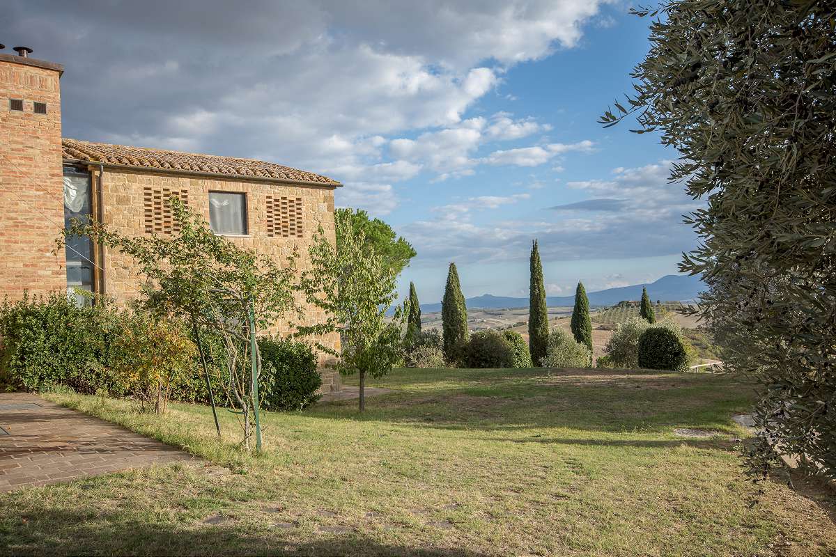Crete Senesi Property with Pool and 1000 Olive Trees - Casa Tuscany