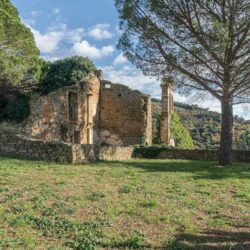 Castle and Estate for Sale near Arezzo 42