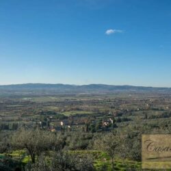 Castle and Estate for Sale near Arezzo 14