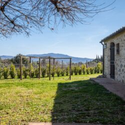 A wonderful stone property for sale near Montalcino, Tuscany (6)
