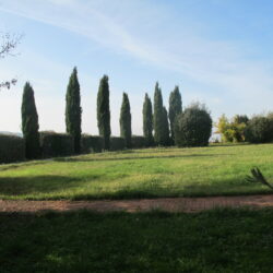Agriturismo for sale near Volterra Tuscany (11)
