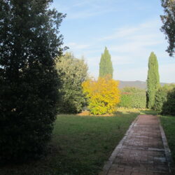 Agriturismo for sale near Volterra Tuscany (13)