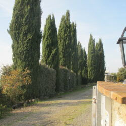 Agriturismo for sale near Volterra Tuscany (18)