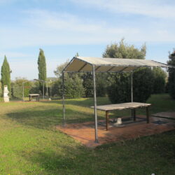 Agriturismo for sale near Volterra Tuscany (21)