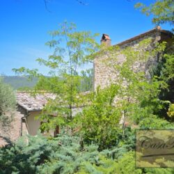 Ancient Farmhouse + Outbuildings in The Val d'Orcia (33)