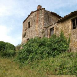 Ancient Farmhouse and Ruin To Be Restored 10