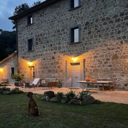 Beautiful Stone house for sale near Orvieto Umbria (9)