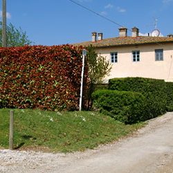Tuscan Castle Estate for Sale image 15