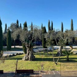 Character House with Pool + Olives near Cortona 2