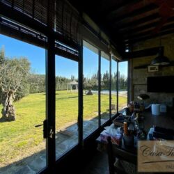 Character House with Pool + Olives near Cortona 27