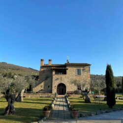 Character House with Pool + Olives near Cortona 39