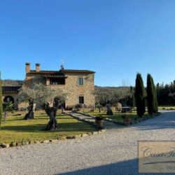 Character House with Pool + Olives near Cortona 40