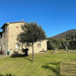 Character House with Pool + Olives near Cortona 7