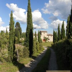 Chianti Farmhouse for sale near Castelnuovo Berardenga Tuscany 2(46)