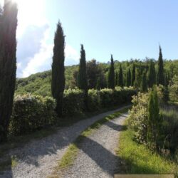 Chianti Farmhouse for sale near Castelnuovo Berardenga Tuscany 2(49)