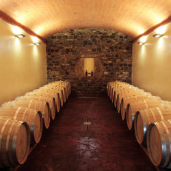 Chianti Winery and Agriturismo for sale, Tuscany (11)