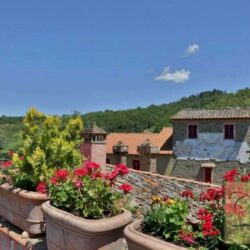 Chianti Winery with Outbuildings and Olives (22)-1200