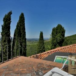 Chianti Winery with Outbuildings and Olives (23)-1200