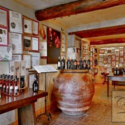 Chianti Winery with Outbuildings and Olives (24)-1200