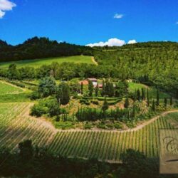 Chianti Winery with Outbuildings and Olives (29)-1200
