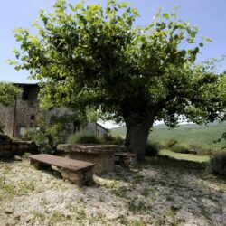Country House with Pool and Apartments for sale near Piegaro Umbria (33)-1200