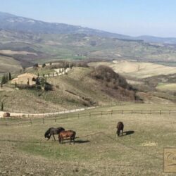 Country House with Restaurant, Riding School and Jacuzzi 18
