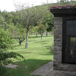 Farmhouse for sale with Pool near Cortona (37)-1200