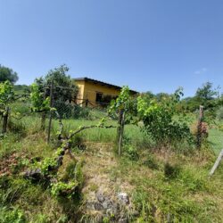 Former mill with pool for sale near Caprese Michelangelo Arezzo Tuscany (43)-1200