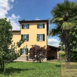 Hillside Villa with 3 Apartments near Lucca 17