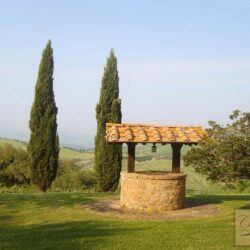 Hilltop Val d'Orcia House with Olives and Vineyard 15